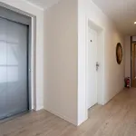 Solaris 12 Hundfreundlich, Strandnah * Grömitz